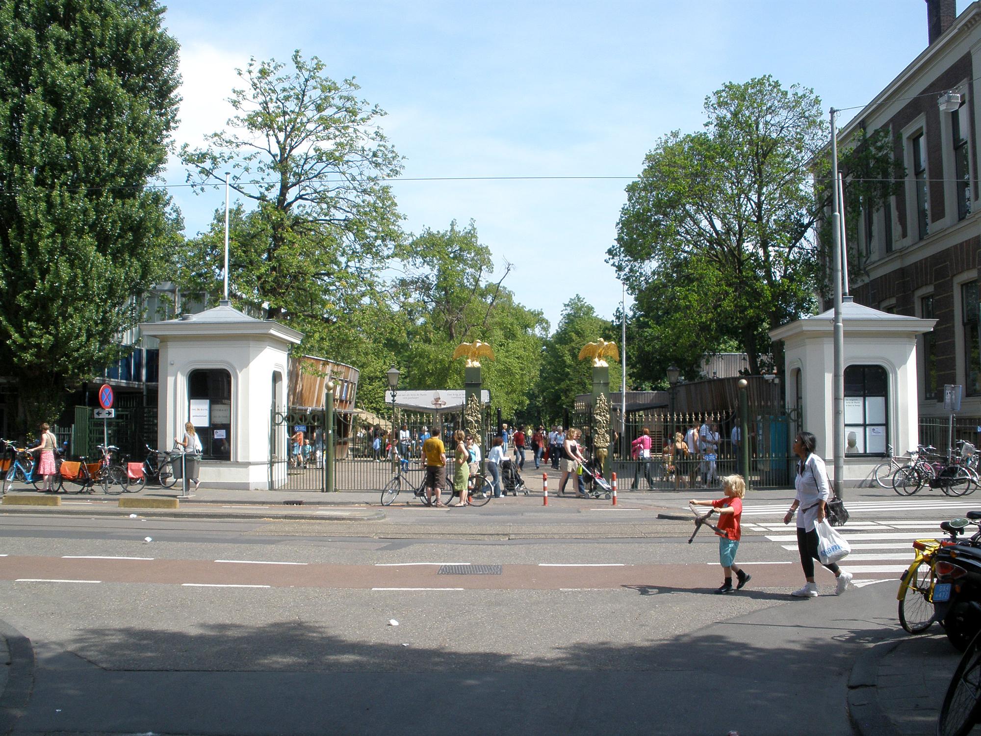 στενωση αορτης