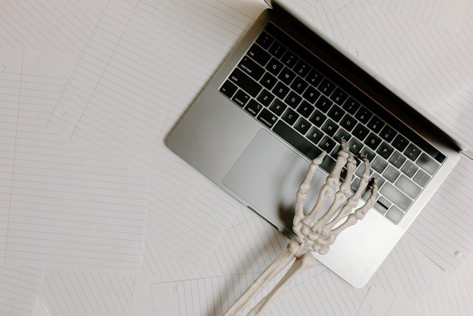 Here’s a comma-separated list of the ‌most relevant‍ keywords extracted from the⁣ heading 